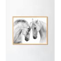 ราคา PENNELLO รูปภาพแต่งบ้านใส่กรอบพร้อมแขวน Couple Of White Horses Light Wood M (40x50CM) No Mount (10621677)