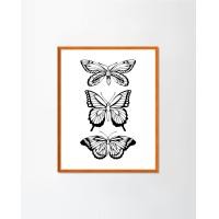 ราคา PENNELLO (เพนเนลโล) รูปภาพฟิล์มลงบนกระดาษฟิล์ม ใส่กรอบพร้อม Dark Wood XXL (75x100CM) No Mount (10681721)