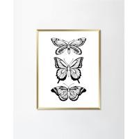 ราคา PENNELLO (เพนเนลโล) รูปภาพฟิล์มลงบนกระดาษฟิล์ม ใส่กรอบพร้อม Gold XS (20x25CM) Mount (10681753)