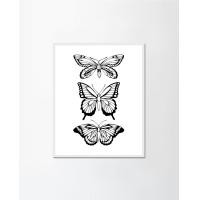 ราคา PENNELLO (เพนเนลโล) รูปภาพฟิล์มลงบนกระดาษฟิล์ม ใส่กรอบพร้อม White XXL (75x100CM) Mount (10681750)