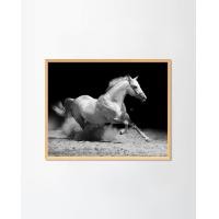 ราคา PENNELLO รูปภาพแต่งบ้านใส่กรอบพร้อมแขวน White Stallion On Black Light Wood XL (60x75CM) No Mount (10676867)