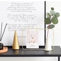 ราคา BF&MF shop ชุดแจกัน+ช่อดอกไม้ปลอม+ที่หนีบรูป สไตล์มินิมอล 17 x 25 cm. พรีออเดอร์ สีทอง (10777733)