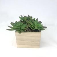 ราคา Oriental Fine Art กุหลาบหินปลอมเฉพาะหัว 1 หัว ไม่รวมกระถาง แคคตัสจัดสวนถาด (10798092)