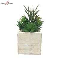 ราคา Oriental Fine Artกระถางแคคตัสปลอม ต้นไม้ปลอมมินิมอล ต้นไม้ปลอมมินิมอล (10797236)