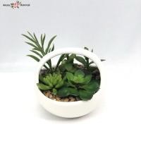 ราคา Oriental Fine Art กระถางแคคตัสปลอม ต้นไม้ปลอมน่ารักๆตกแต่งบ้าน ต้นไม้ปลอมน่ารักๆตกแต่งบ้าน (10797674)