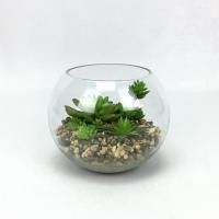 ราคา Oriental Fine Art สวนโหลแก้ว ต้นไม้ปลอมจิ๋ว สวนแคคตัสปลอม ZCO-64-12-N (10794683)