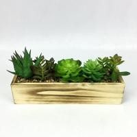 ราคา Oriental Fine Art สวนถาดจำลองกระถางแคคตัสปลอม T16-SSC-61169-N (10794771)