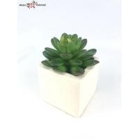 ราคา Oriental Fine Art กุหลาบหินปลอมเฉพาะหัว ไม่รวมกระถาง แคคตัสจัดสวนถาด R-006 (10799319)