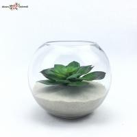 ราคา Oriental Fine Art Echeverial plant แคคตัสปลอมในโหลแก้ว แคคตัสปลอมในโหลแก้ว (10802141)
