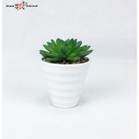 ราคา Oriental Fine Art กุหลาบหินปลอมในกระถางพลาสติก ต้นไม้ปลอมพร้อมกระถาง (10802170)