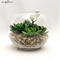 ราคา Oriental Fine Art แคคตัสปลอม กุหลาบหิน สวนจำลองจัดในแก้วทรงกลมใส สวนจำลองจัดในแก้วทรงกลมใส (10797090)