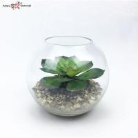 ราคา Oriental Fine Art แคคตัสปลอม กุหลาบหินปลอม กุหลาบหินปลอม (10797237)