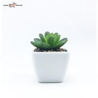 ราคา Oriental Fine Art ต้นไม้จิ๋วส ต้นไม้ประดิษฐ์พร้อมกระถางบนโต๊ะทำงาน ต้นไม้ประดิษฐ์พร้อมกระถาง (10797642)