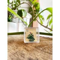 ราคา Tiny tree garden โมเดลดอกไม้ขนาดจิ๋วสำหรับแต่งสวนและตกแต่งทั่วไป Size ดอกกุหลาบ เหลืองอ่อน สี (10779042)