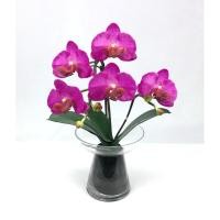 ราคา Oriental Fine Art ดอกกล้วยไม้สีชมพูม่วงพร้อมแจกันแก้ว แจกันดอกไม้ประดิษฐ์ตกแต่งบ้าน (10796434)