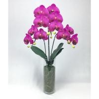 ราคา Oriental Fine Art ดอกกล้วยไม้จัดในแจกันแก้วทรงสูง Dark lavender (10796442)