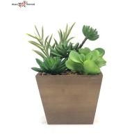 ราคา Oriental Fine Art ต้นไม้ปลอมแต่งบ้าน กุหลาบหิน T16-TXF-61174-N (10799727)