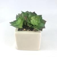 ราคา Oriental Fine Art กุหลาบหินปลอม Set 3 หัว ไม่รวมกระถาง PS-007-NP (10802295)