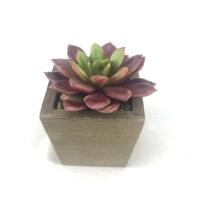 ราคา Oriental Fine Art กุหลาบหินปลอมเฉพาะหัว ไม่รวมกระถาง R-005 Burgundy (10802329)