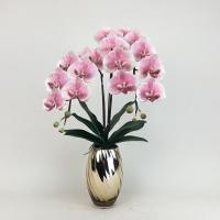 ราคา Oriental Fine Art กล้วยไม้ฟาแลนจัดในแจกันแก้วสีทอง ดอกไม้ปลอมตกแต่งบ้าน FVD-65-10-G F19 (10794670)