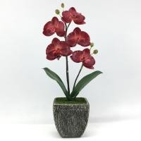 ราคา Oriental Fine Art กระถางกล้วยไม้ประดิษฐ์ - (2) ดอกไม้ปลอมพร้อมกระถาง (10797644)