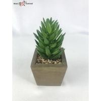 ราคา Oriental Fine Art แคคตัสปลอมไม่รวมกระถาง ต้นไม้ประดิษฐ์จัดสวนถาด (10802122)