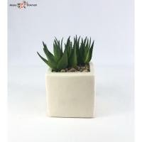 ราคา Oriental Fine Art ว่านหางจระเข้ปลอม Set 3 หัว ไม่รวมกระถาง แคคตัสปลอมจัดสวนถาด (10802131)