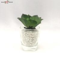ราคา Oriental Fine Art ต้นไม้ปลอมจิ๋ กุหลาบหินปลอมพร้อมกระถาง G-6153-N (10802266)