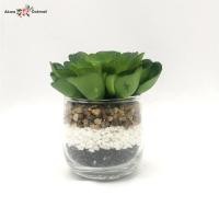 ราคา Oriental Fine Art กุหลาบหินปลอม Succulent plant GW-566-N (10802403)