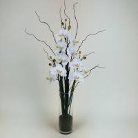 ราคา Oriental Fine Art แจกัน ดอกกล้วยไม้จัดในแจกันแก้วทรงสูง GRIXO-6324-N F9 (10802432)
