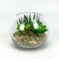 ราคา Oriental Fine Art สวนโหลแก้ว ต้นไม้ปลอม สวนกระบองเพชรปลอม สวนกระบองเพชรปลอม (10796958)