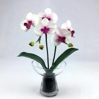 ราคา Oriental Fine Art ดอกกล้วยไม้ประดิษฐ์ พร้อมแจกันแก้ว แจกันดอกไม้ประดิษฐ์ตกแต่งบ้าน (10802147)