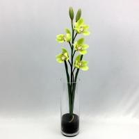 ราคา Oriental Fine Art กล้วยไม้ซิมบิเดียมจัดในแจกันแก้วทรงสูง - Green-Pink (10795982)