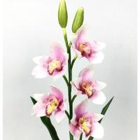 ราคา Oriental Fine Art กล้วยไม้ซิมบิเดียมจัดในแจกันแก้วทรงสูง รุ่น Pink lavender CM11 (10796376)