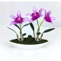 ราคา Oriental Fine Art กล้วยไม้แคทลียาจัดในกระถางพลาสติกทรงเรือ CR-59135-W B6 (10799260)