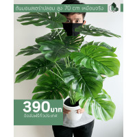 ราคา Pimarn ต้นมอนสเตอร่าปลอม สูง 70 CM เขียว (10920910)