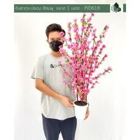 ราคา Pimarn ต้นไม้ปลอม ต้นซากุระปลอม สูง 100 CM เพิ่มขาตั้ง สีชมพู (10974707)