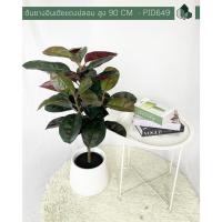 ราคา Pimarn ต้นยางอินเดียแดงปลอม สูง 90 CM ต้นไม้+เบลล่า9นิ้ว (10974734)