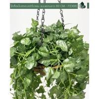 ราคา Pimarn ไม้เลื้อยปลอม ไม้เลื้อยตกแต่ง ยาว 80 CM แบบแขวน พร้อมกระถางกะลาใยมะพร้าว ใบสตอเบอร์รี่ (10974756)