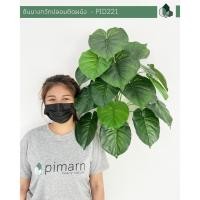 ราคา Pimarn ต้นนางกวักปลอมติดผนัง พร้อมกระถางติดผนัง ไม่ต้องเจาะผนัง ต้นไม้ปลอมติดผนัง (10972845)