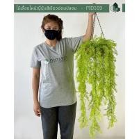 ราคา Pimarn ไม้เลื้อยไพน์ญี่ปุ่นปลอม แบบแขวน 70 CM กระถางใยมะพร้าว สีเขียวอ่อน (10975012)