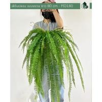 ราคา Pimarn เฟิร์นปลอม พร้อมกระถางแขวนใยมะพร้าว ยาว 80 CM (10975400)