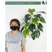 ราคา Pimarn ต้นว่านนางกวักด่างปลอมติดผนัง พร้อมกระถางติดผนัง ไม่ต้องเจาะผนัง ต้นไม้ปลอมติดผนัง (10975300)