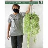ราคา Pimarn ไม้เลื้อยไพน์ญี่ปุ่นปลอม แบบแขวน 70 CM กระถางใยมะพร้าว สีเขียวขาว (10975337)