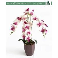 ราคา Pimarn ดอกไม้ปลอม ดอกกล้วยไม้ปลอม สีขาวอมม่วง สูง 70 CM กระถางสีน้ำตาลอ่อน (10975793)