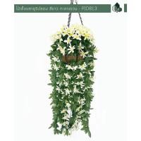 ราคา Pimarn ไม้เลื้อยซายูริปลอม ยาว 70 CM แบบแขวนกระถางใยมะพร้าว สีขาว (10975789)