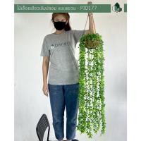 ราคา Pimarn ไม้เลื้อยปลอม 110 CM พร้อมกระถางแขวนใยมะพร้าว ไม้เลื้อยสีเขียวเข้ม (10975808)