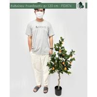 ราคา Pimarn ผลไม้ปลอม ต้นส้มปลอม ก้านเหมือนจริง สูง 1.20 M / 1.5 M พร้อมกระถาง สูง 1.2 เมตร (10972257)