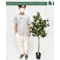 ราคา Pimarn ผลไม้ปลอม ต้นส้มปลอม ก้านเหมือนจริง สูง 1.20 M / 1.5 M พร้อมกระถาง สูง 1.5 เมตร (10972260)