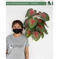 ราคา Pimarn ต้นบอนสีเศรษฐีปลอมติดผนัง พร้อมกระถางติดผนัง ไม่ต้องเจาะ ต้นไม้ปลอมติดผนัง (10972851)